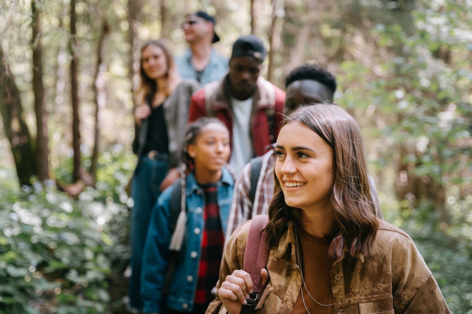 A group of walkers on a forest trail on a sunny day — illustrative demo image
