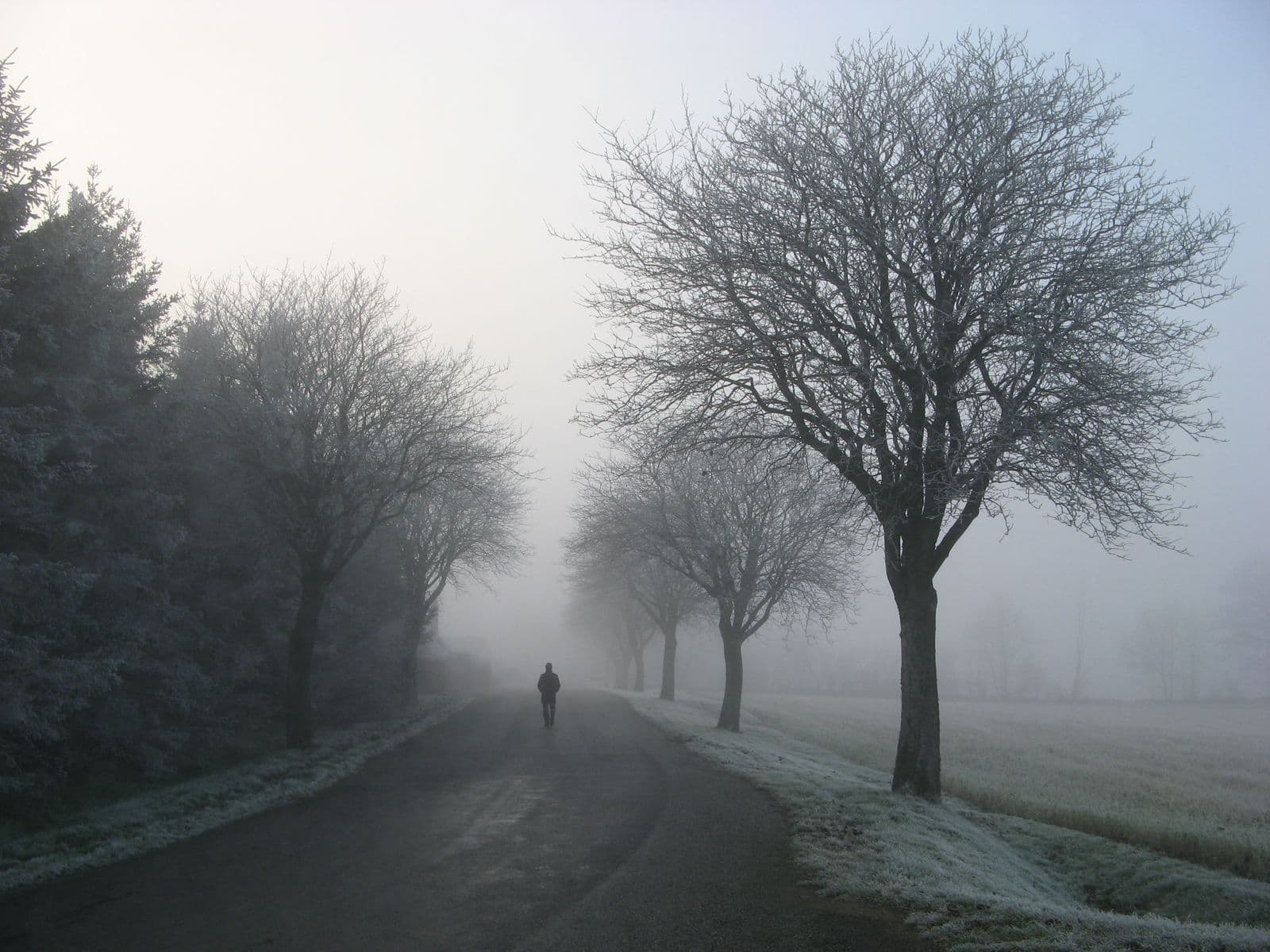 A lone walker on a frosty tree-lined road on a misty winter day — illustrative demo image
